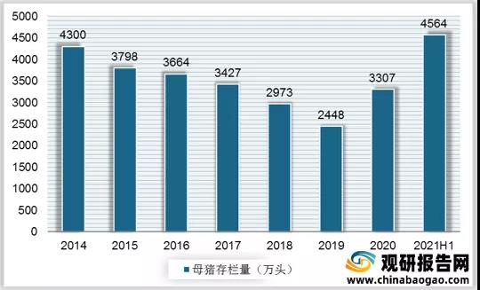 1638602235399673.jpg 生(shēng)豬競價1.jpg