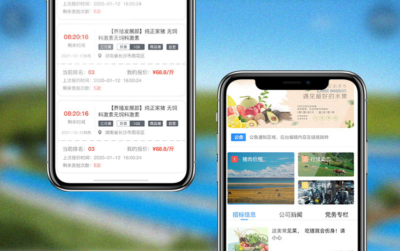 新(xīn)五豐股份生(shēng)豬競價APP